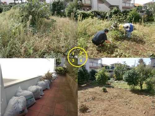 都営アパート庭掃除